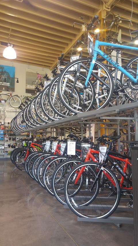 Madison & Davis Bicycle Shop